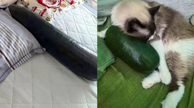 欧陆平台官方:深夜睡觉时突然炸了,大量腐臭汁水流出,床单脏得一塌糊涂……最近很多人跟风,第一批受害者已出现!